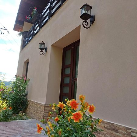 Casa Radu Apartment Novaci-Straini Exterior photo